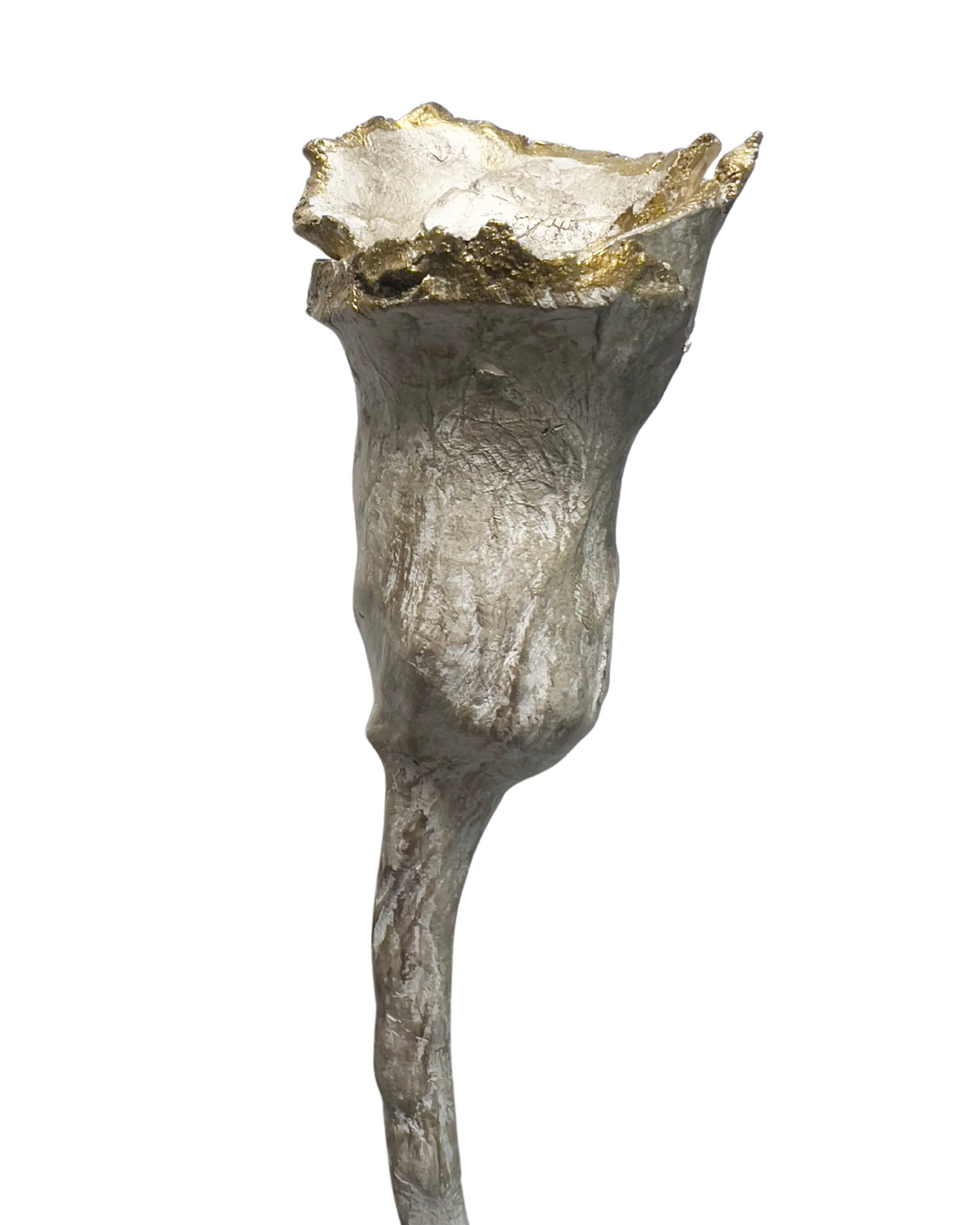 Un Bouton De Rose Stem