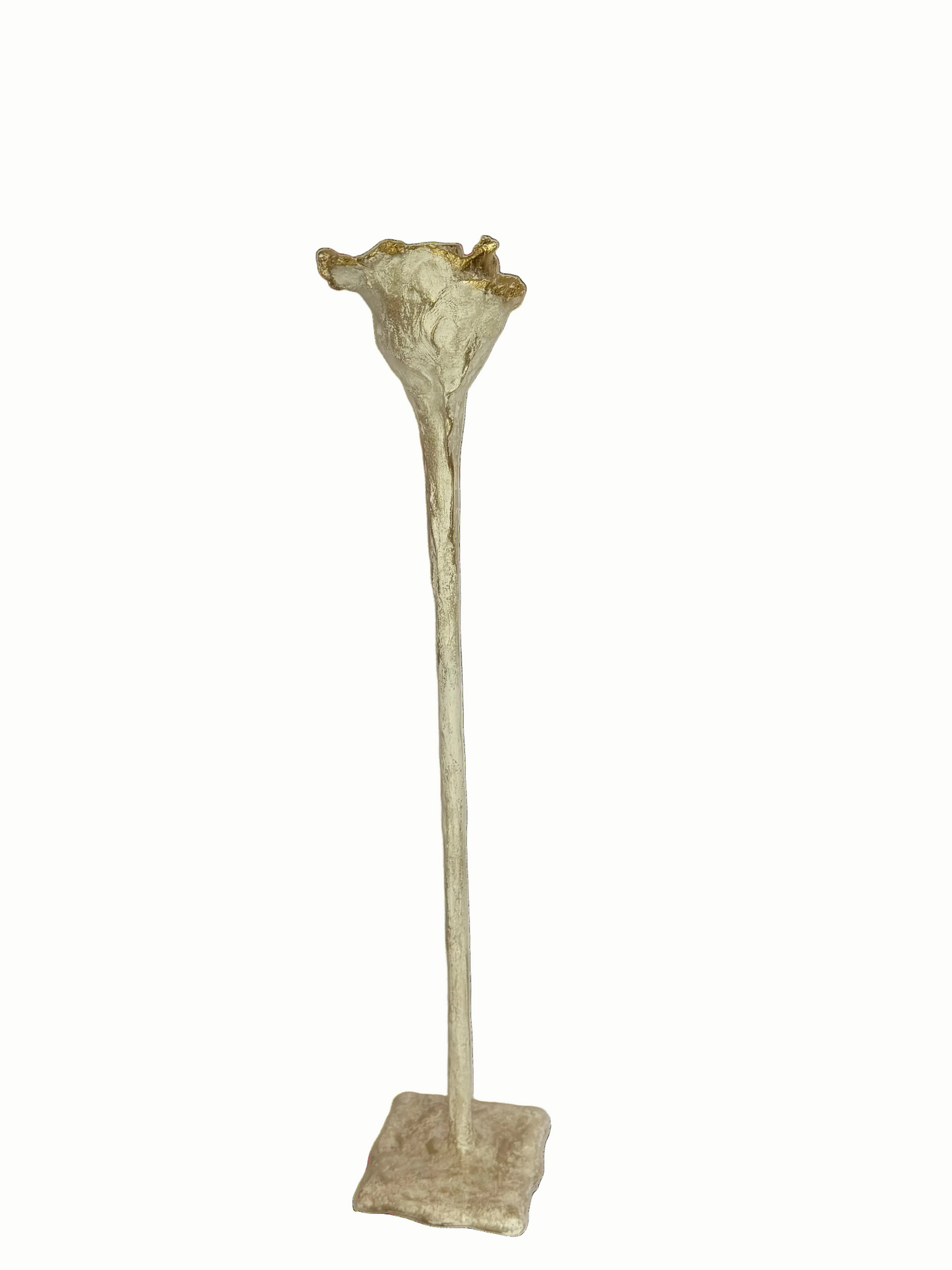 Un Bouton De Rose Open Stem