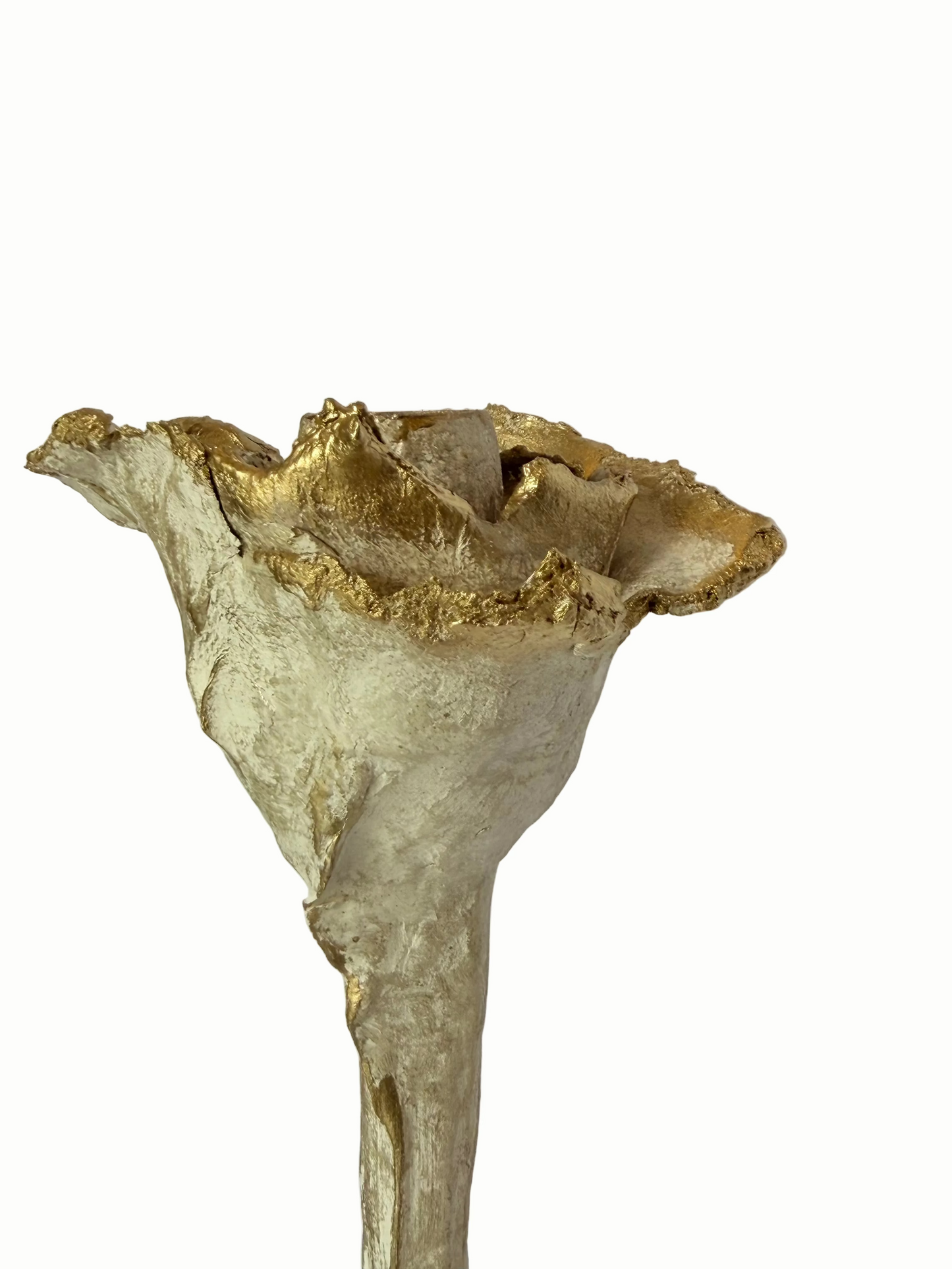 Un Bouton De Rose Open Stem